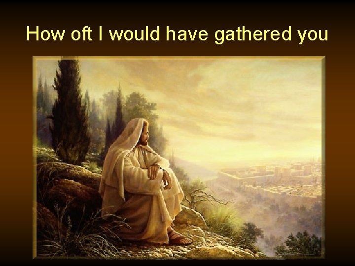 How oft I would have gathered you 