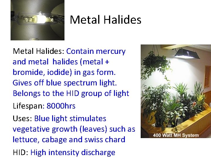 Metal Halides: Contain mercury and metal halides (metal + bromide, iodide) in gas form.