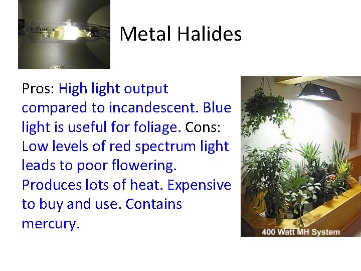 Metal Halides Pros: High light output compared to incandescent. Blue light is useful for
