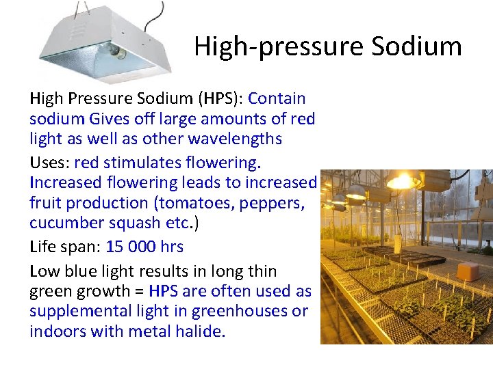 High-pressure Sodium High Pressure Sodium (HPS): Contain sodium Gives off large amounts of red