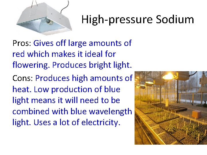 High-pressure Sodium Pros: Gives off large amounts of red which makes it ideal for