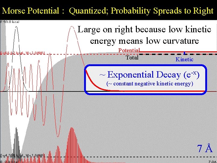 Morse Potential : Quantized; Probability Spreads to Right Large on right because low kinetic
