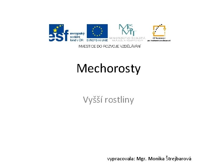 Mechorosty Vyšší rostliny vypracovala: Mgr. Monika Štrejbarová 