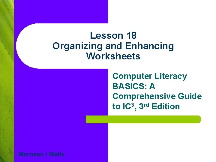 Lesson 18 Organizing and Enhancing Worksheets Computer Literacy BASICS: A Comprehensive Guide to IC