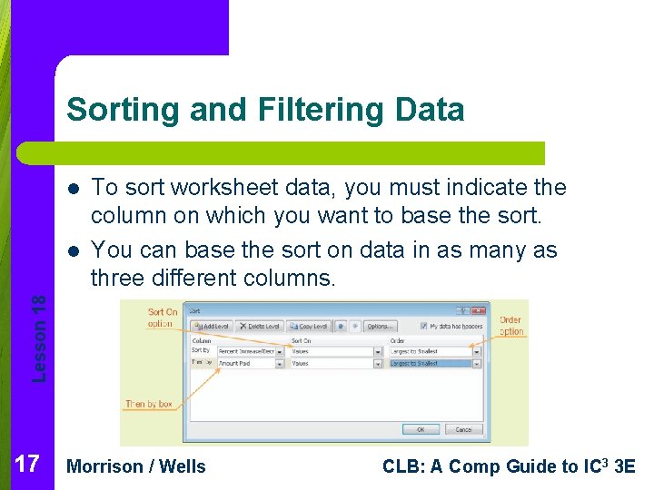 Sorting and Filtering Data l Lesson 18 l To sort worksheet data, you must