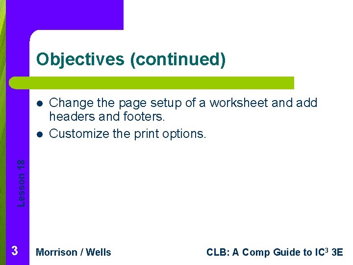 Objectives (continued) l Lesson 18 l Change the page setup of a worksheet and