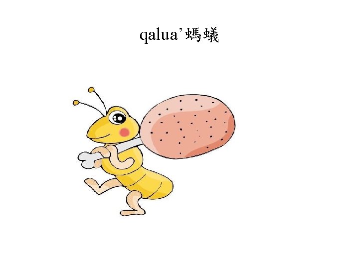 qalua’螞蟻 