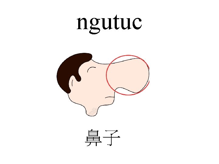 ngutuc 鼻子 