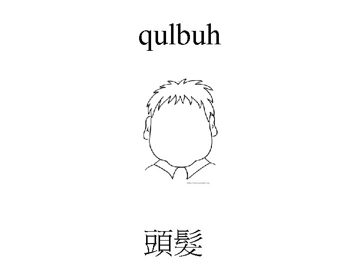 qulbuh 頭髮 