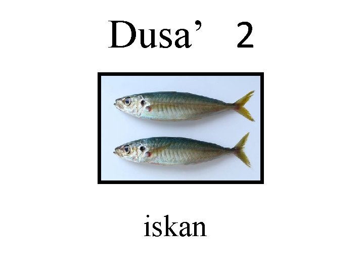 Dusa’ 2 iskan 