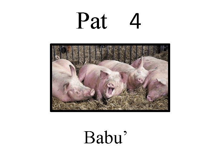 Pat 4 Babu’ 
