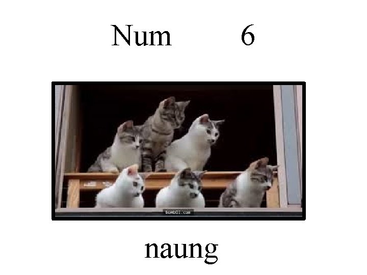 Num naung 6 