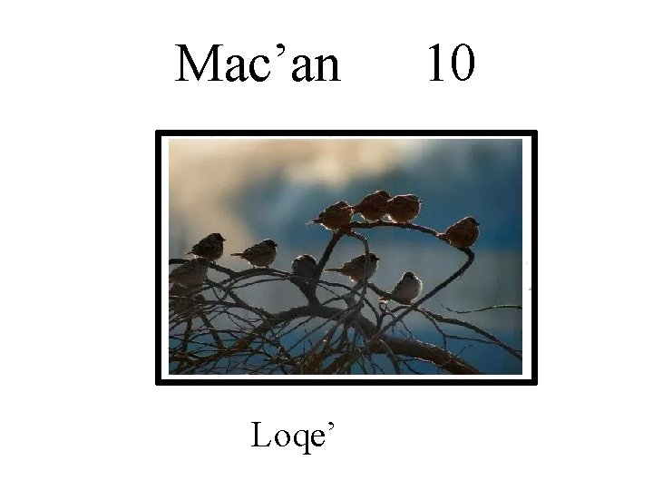 Mac’an Loqe’ 10 