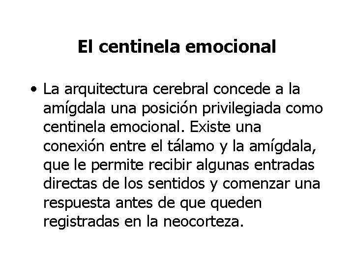 El centinela emocional • La arquitectura cerebral concede a la amígdala una posición privilegiada