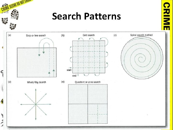 Search Patterns 