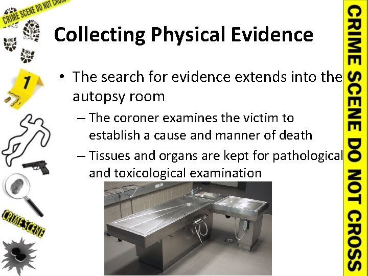 Collecting Physical Evidence • The search for evidence extends into the autopsy room –