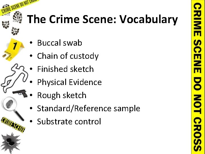 The Crime Scene: Vocabulary • • Buccal swab Chain of custody Finished sketch Physical