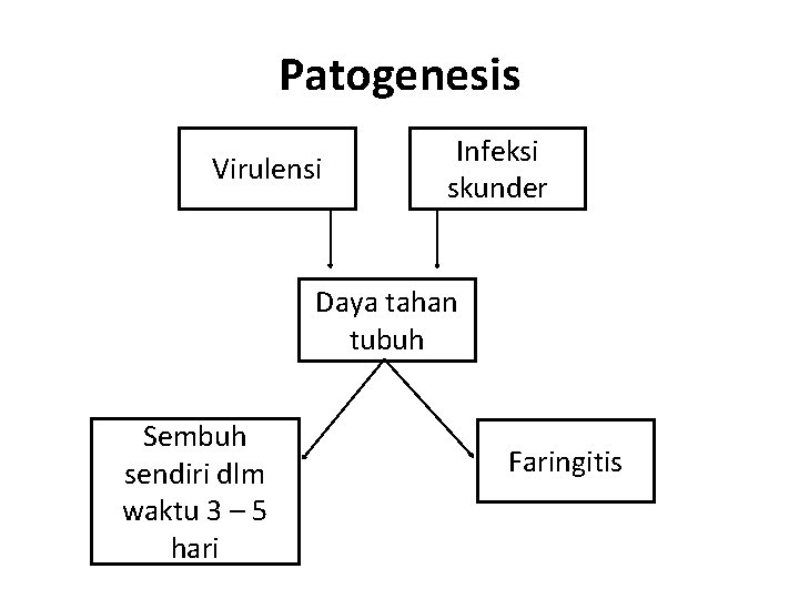 Patogenesis Virulensi Infeksi skunder Daya tahan tubuh Sembuh sendiri dlm waktu 3 – 5