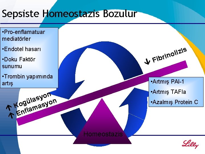 Sepsiste Homeostazis Bozulur • Pro-enflamatuar mediatörler • Endotel hasarı • Doku Faktör sunumu •