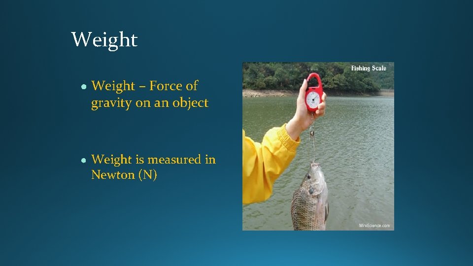 Weight ● Weight – Force of gravity on an object ● Weight is measured Weight ● Weight – Force of gravity on an object ● Weight is measured