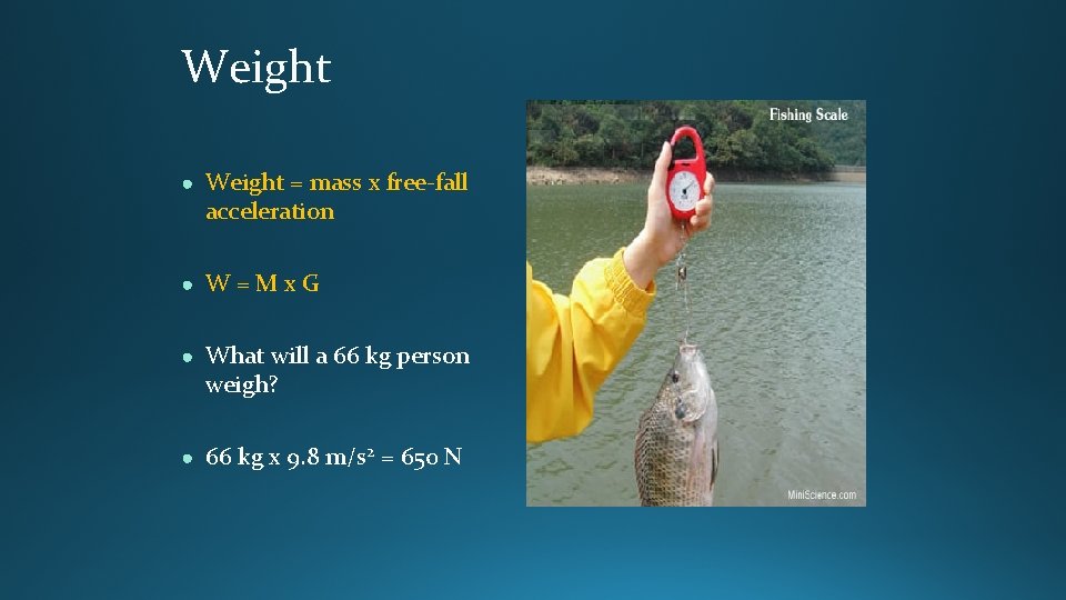 Weight ● Weight = mass x free-fall acceleration ● W=Mx. G ● What will Weight ● Weight = mass x free-fall acceleration ● W=Mx. G ● What will