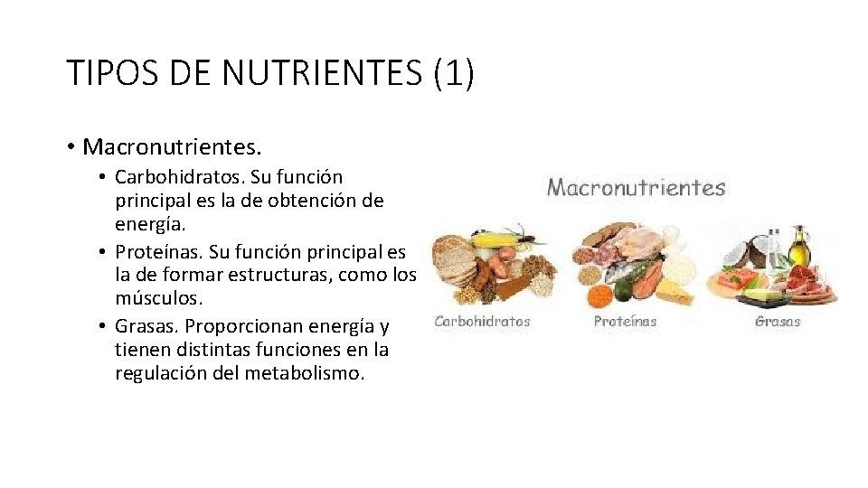 TIPOS DE NUTRIENTES (1) • Macronutrientes. • Carbohidratos. Su función principal es la de