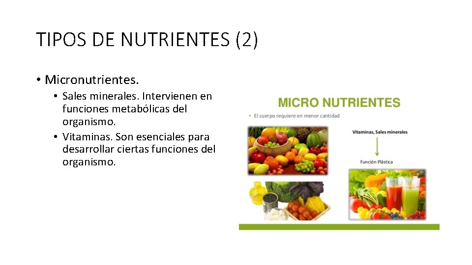 TIPOS DE NUTRIENTES (2) • Micronutrientes. • Sales minerales. Intervienen en funciones metabólicas del