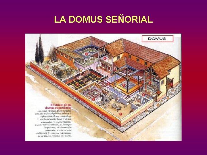 LA DOMUS SEÑORIAL 