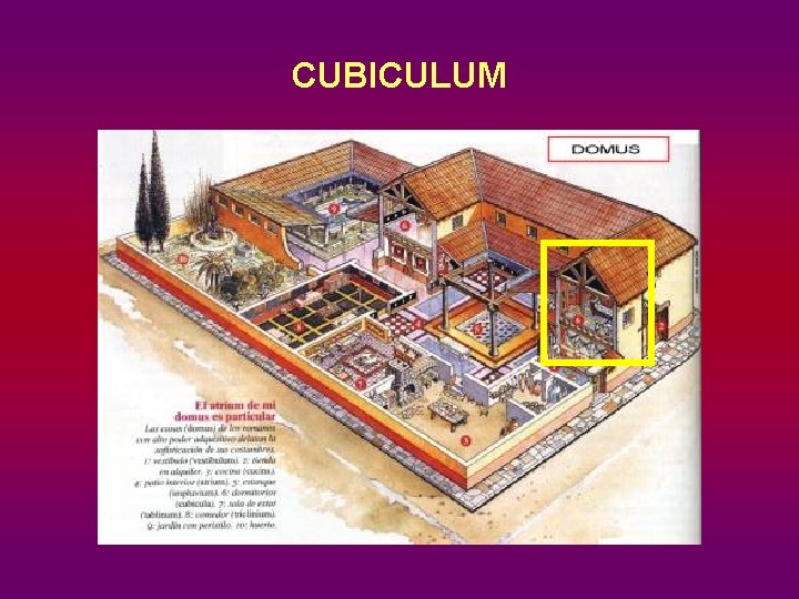 CUBICULUM 