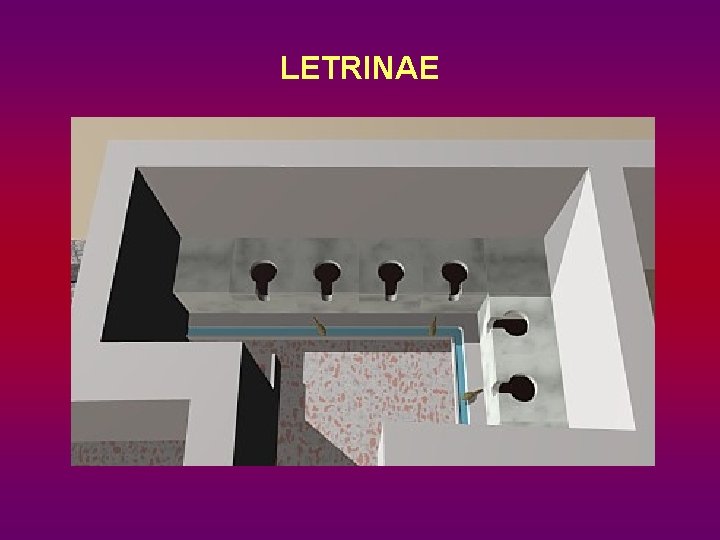 LETRINAE 