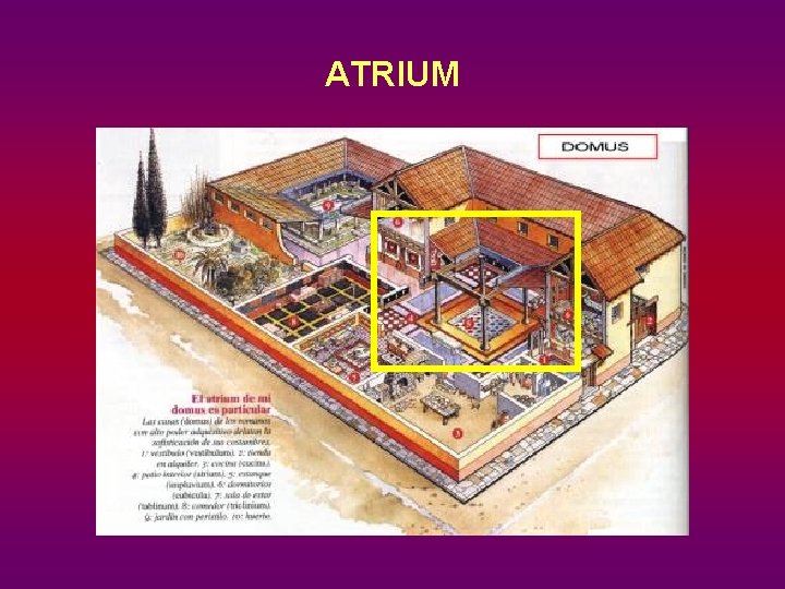 ATRIUM 