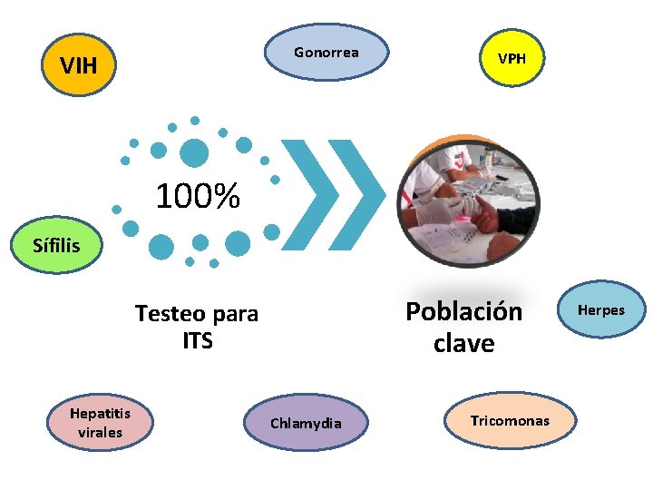 Gonorrea VIH VPH 100% Sífilis Población clave Testeo para ITS Hepatitis virales Chlamydia Tricomonas