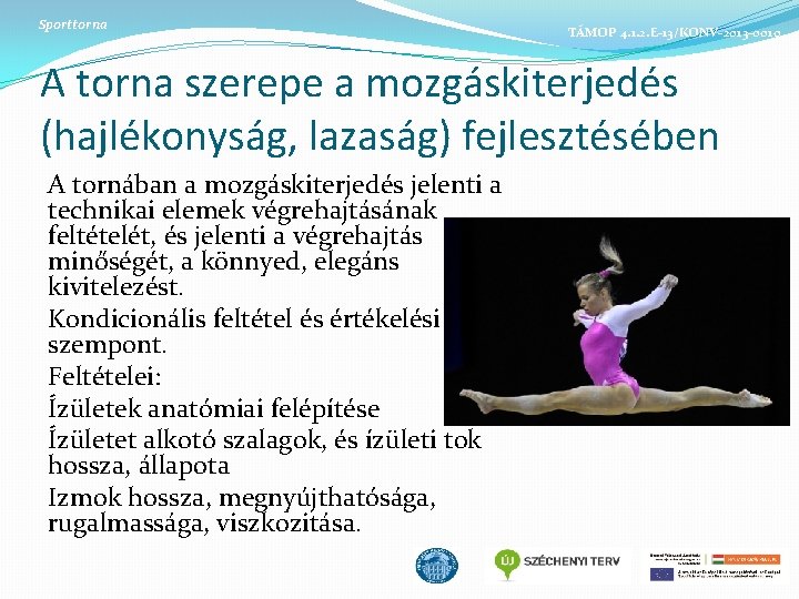 Sporttorna TÁMOP 4. 1. 2. E-13/KONV-2013 -0010 A torna szerepe a mozgáskiterjedés (hajlékonyság, lazaság)