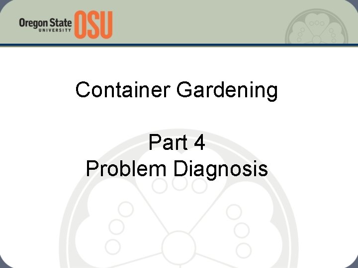 Container Gardening Part 4 Problem Diagnosis 