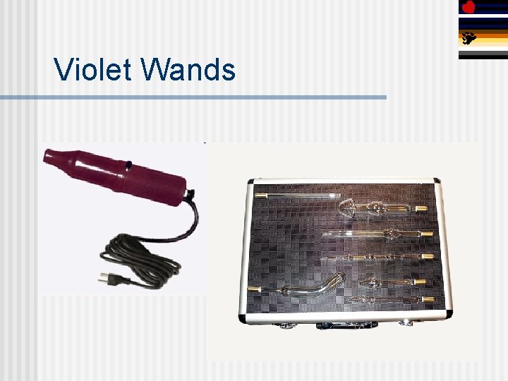 Violet Wands 