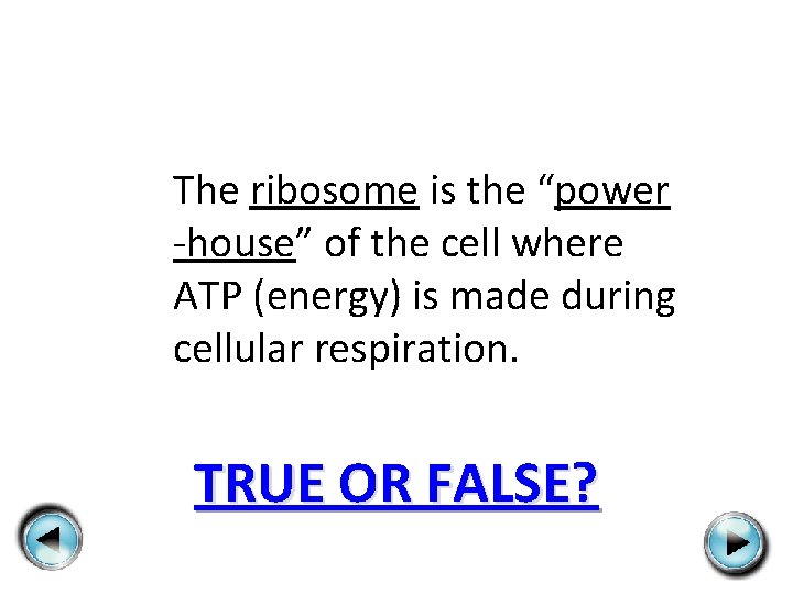 The ribosome is the “power -house” of the cell where ATP (energy) is made