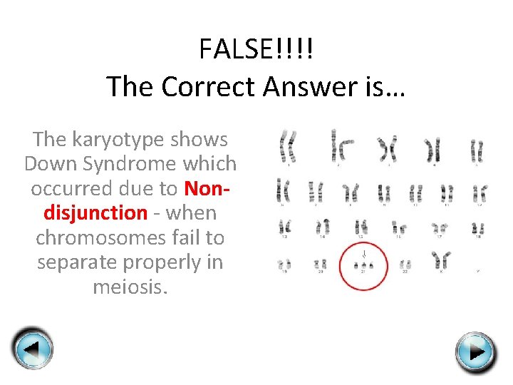 FALSE!!!! The Correct Answer is… The karyotype shows Down Syndrome which occurred due to