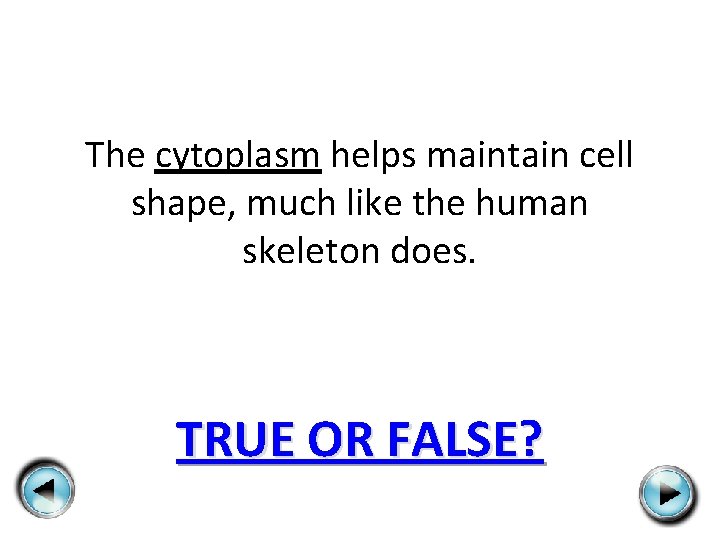 The cytoplasm helps maintain cell shape, much like the human skeleton does. TRUE OR