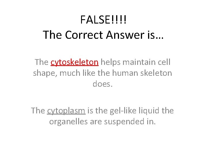 FALSE!!!! The Correct Answer is… The cytoskeleton helps maintain cell shape, much like the