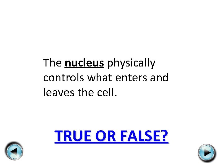 The nucleus physically controls what enters and leaves the cell. TRUE OR FALSE? 