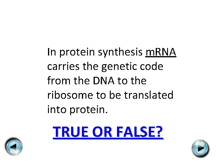 In protein synthesis m. RNA carries the genetic code from the DNA to the