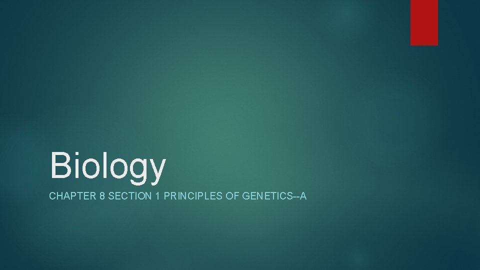Biology CHAPTER 8 SECTION 1 PRINCIPLES OF GENETICS--A 