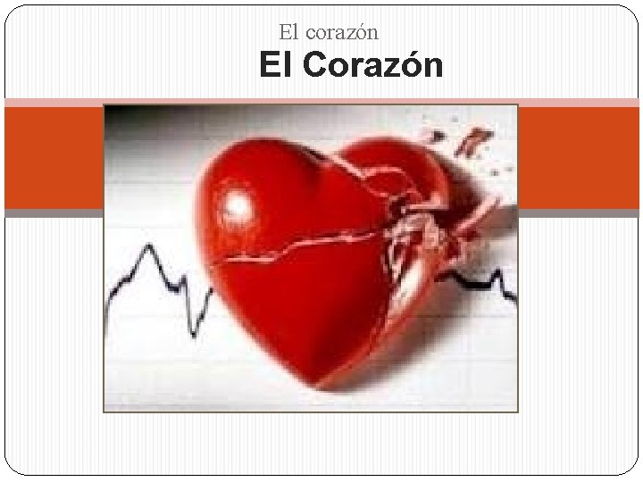 El corazón El Corazón 