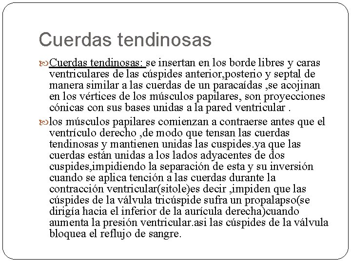 Cuerdas tendinosas Cuerdas tendinosas: se insertan en los borde libres y caras ventriculares de