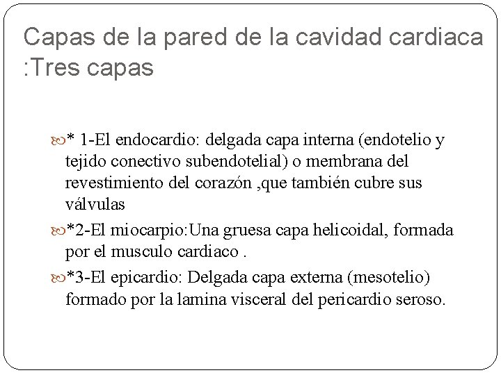 Capas de la pared de la cavidad cardiaca : Tres capas * 1 -El