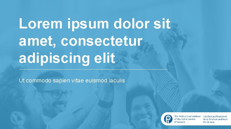 Lorem ipsum dolor sit amet, consectetur adipiscing elit Ut commodo sapien vitae euismod iaculis