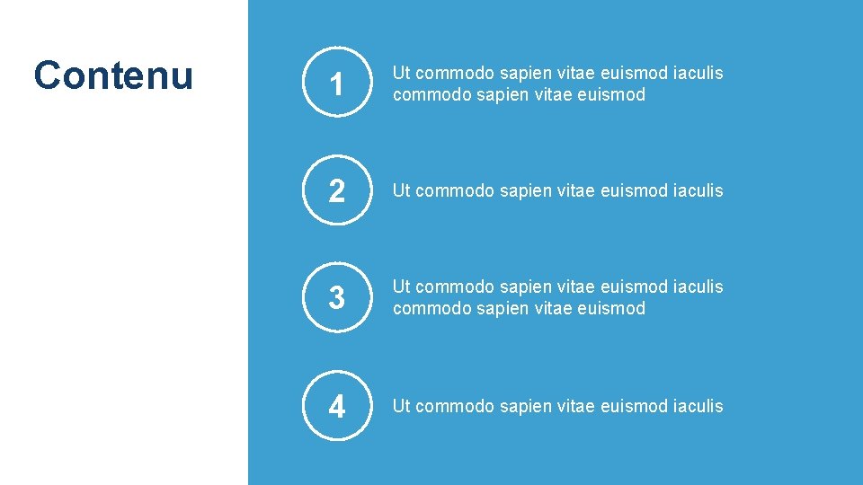 Contenu 1 Ut commodo sapien vitae euismod iaculis commodo sapien vitae euismod 2 Ut