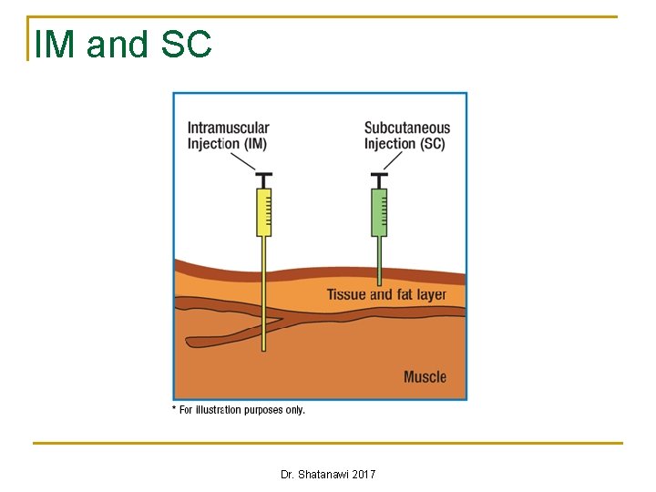 IM and SC Dr. Shatanawi 2017 