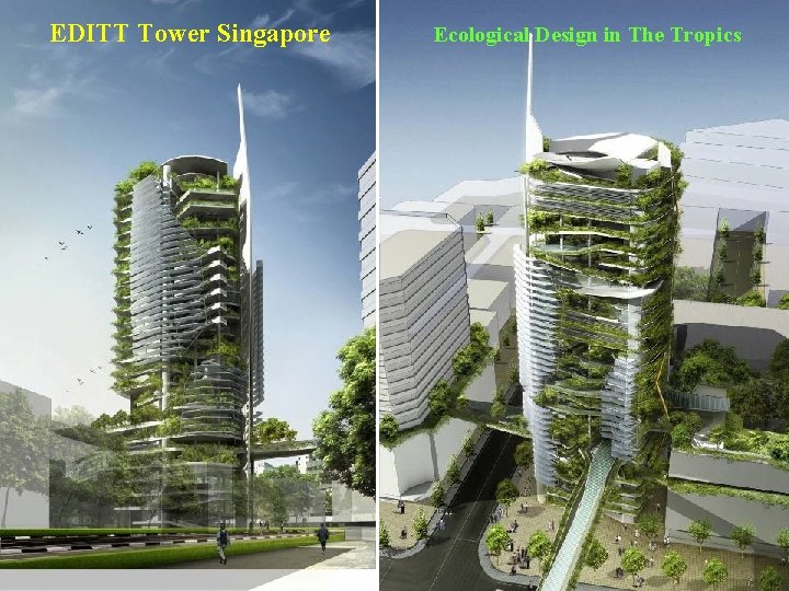 EDITT Tower Singapore Ecological Design in The Tropics 