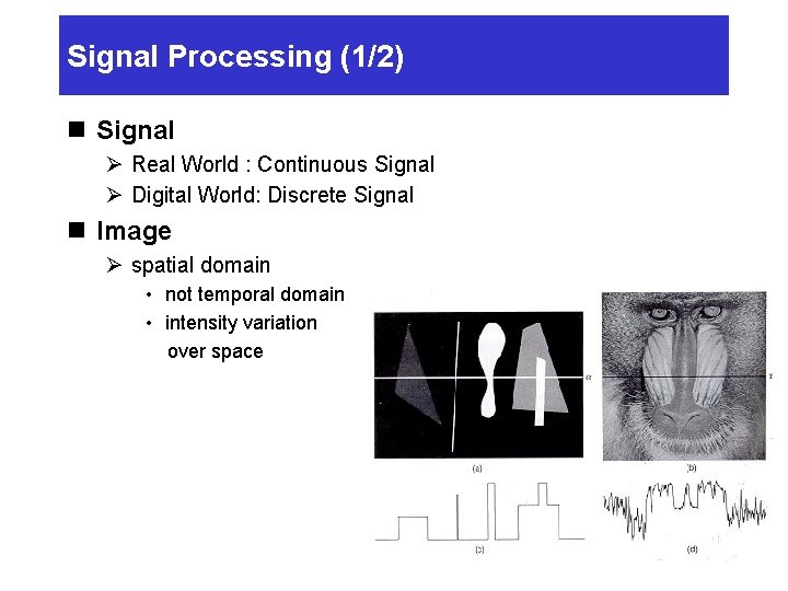 Signal Processing (1/2) n Signal Ø Real World : Continuous Signal Ø Digital World: